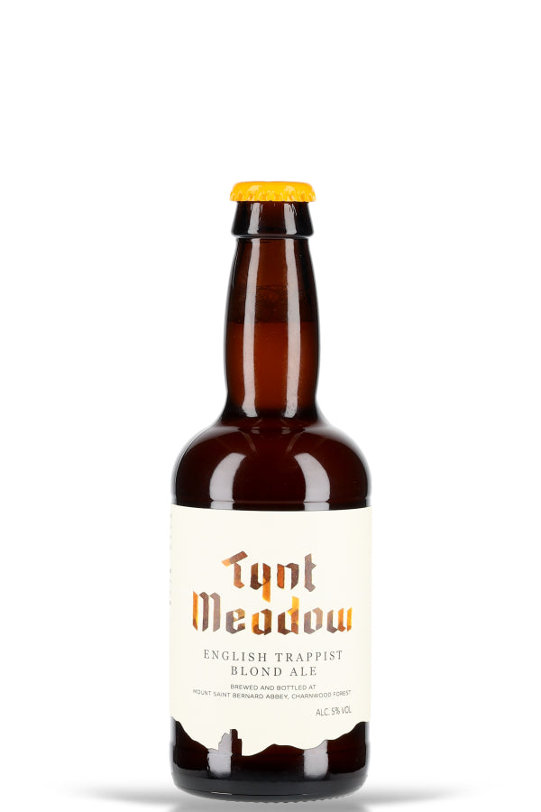 Tynt Meadow Blond Ale 5% vol. 0.33l - Beerlovers